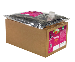 Develey® Balsamico Dressing 5l Bag in Box (2 Stk)