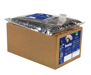 Develey® Süßer Weisswurst Senf 5kg Bag in Box (2 Stk)