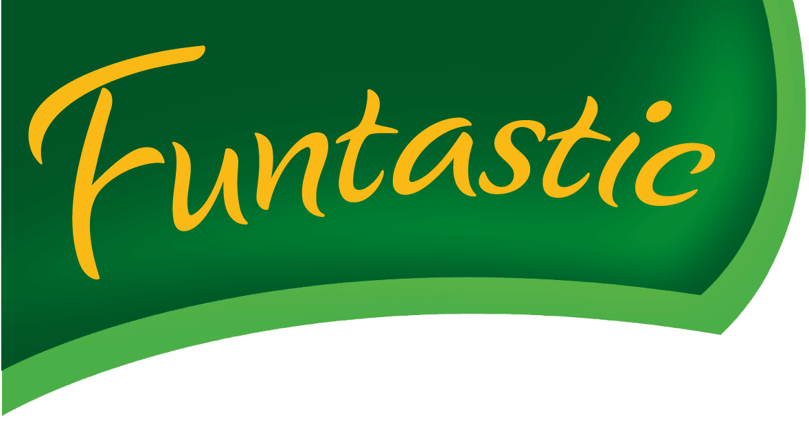 funtastic logo